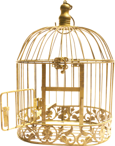 Cage bird PNG-41430